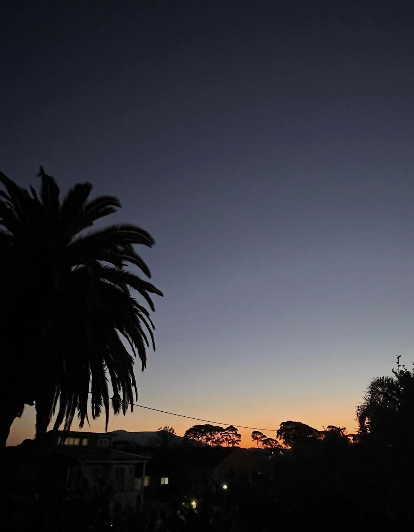 Narooma Palms Holiday Apartments Экстерьер фото